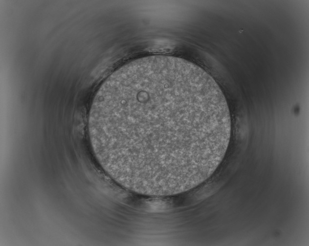 X0000116550370200912311916