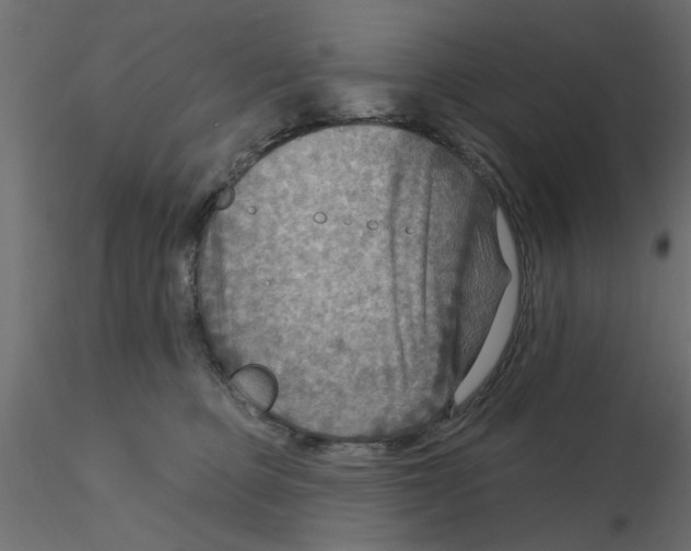 X0000116550373200912311916