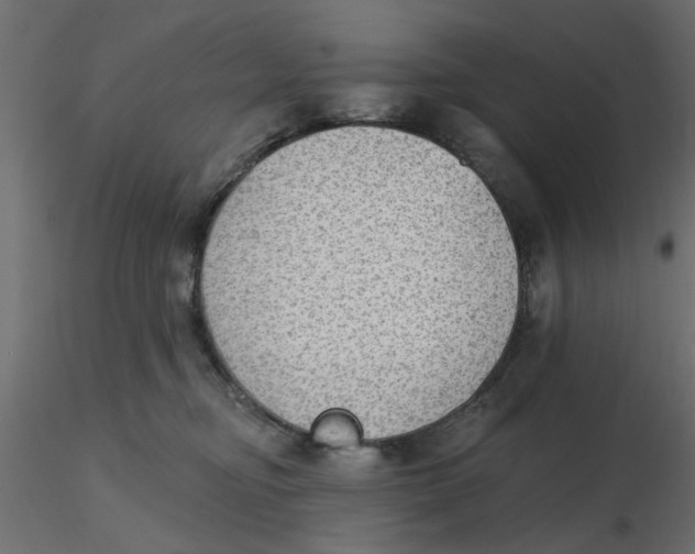 X0000116550374200912311916