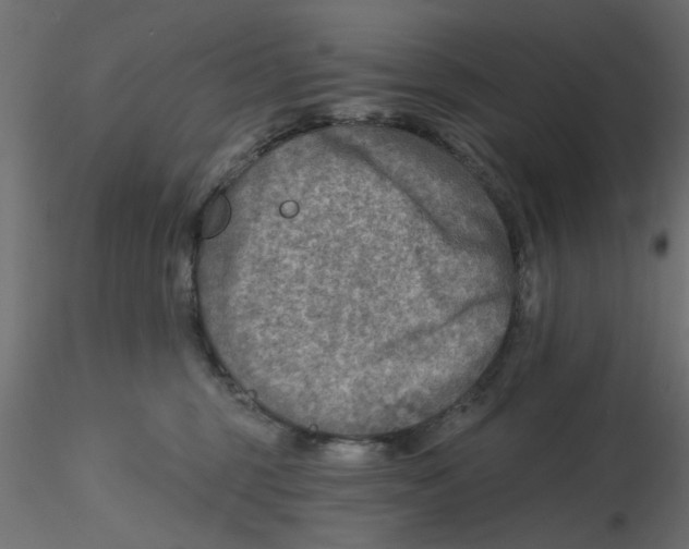 X0000116550375200912311916