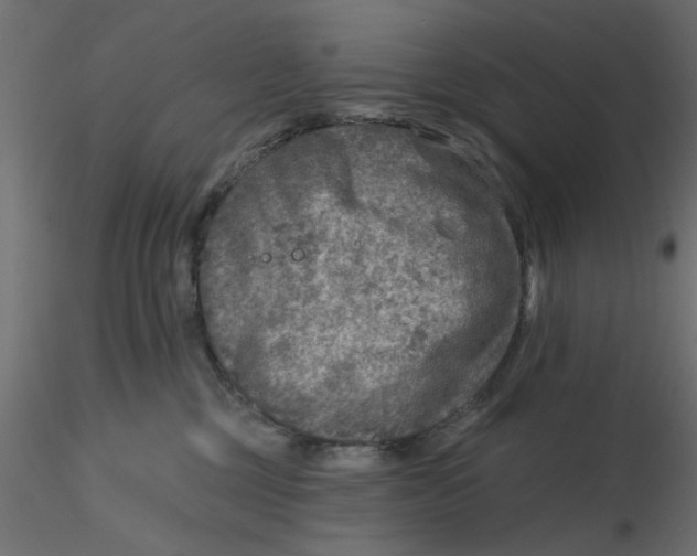 X0000116550377200912311916