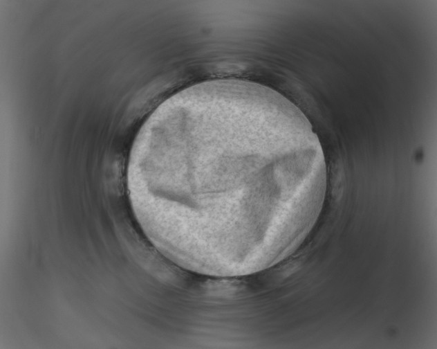 X0000116550378200912311917