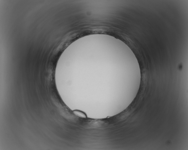 X0000116550379200912311917