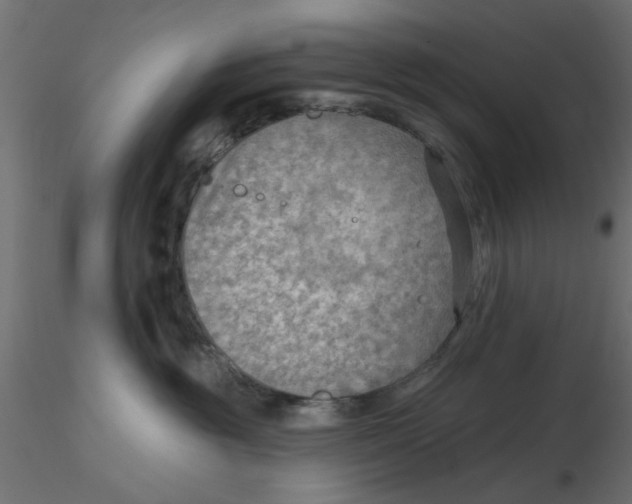 X0000116550381200912311917