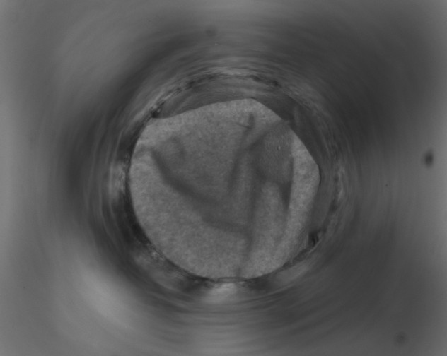 X0000116550382200912311917