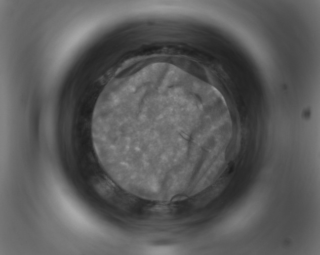 X0000116550383200912311917