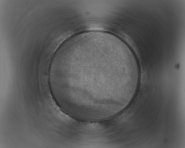 X0000116550385200912311916