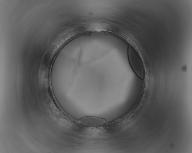 X0000116550386200912311916