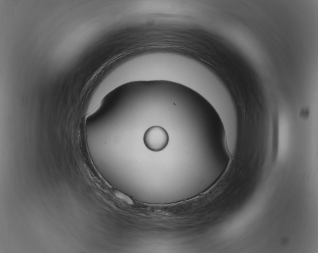 X0000116550387200912311916