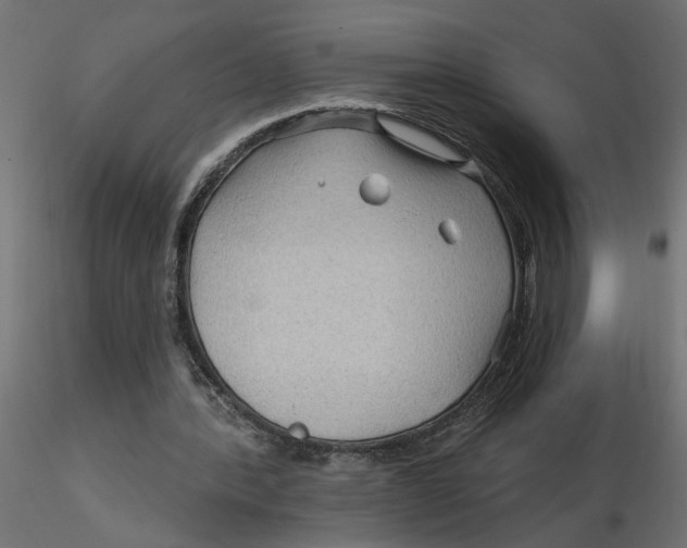 X0000116550388200912311916