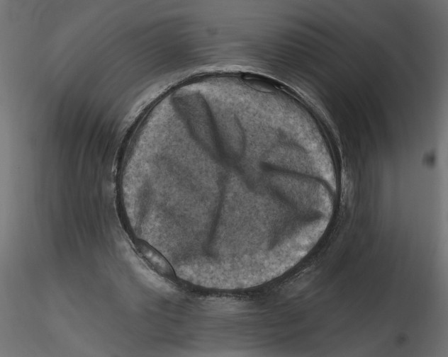 X0000116550389200912311916