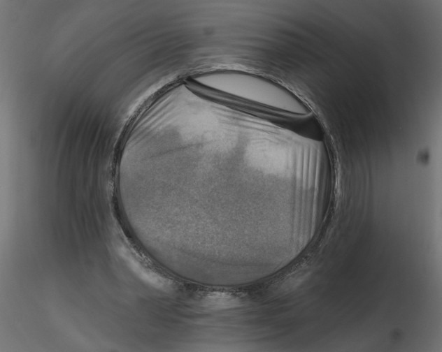 X0000116550390200912311916