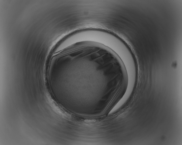 X0000116550391200912311916