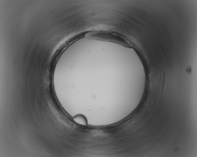 X0000116550392200912311916