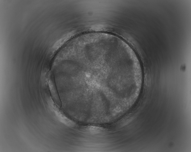 X0000116550393200912311916