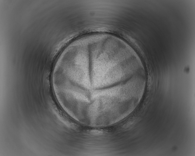 X0000116550394200912311916