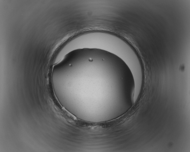 X0000116550395200912311916