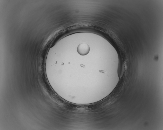 X0000116550396200912311916