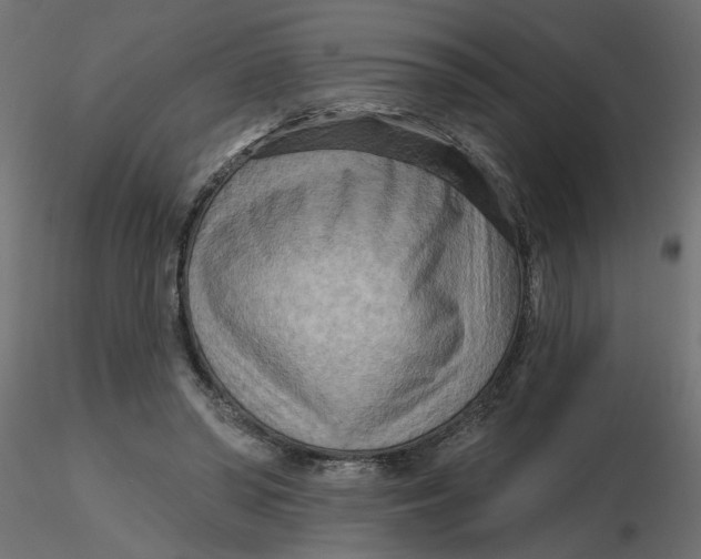 X0000116550398200912311916