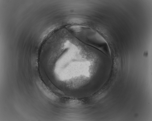 X0000116550399200912311916