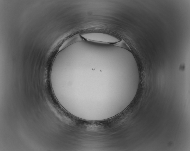 X0000116550400200912311916