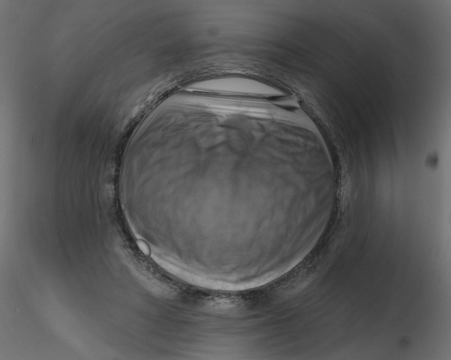 X0000116550402200912311916