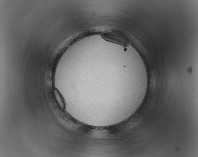 X0000116550403200912311916