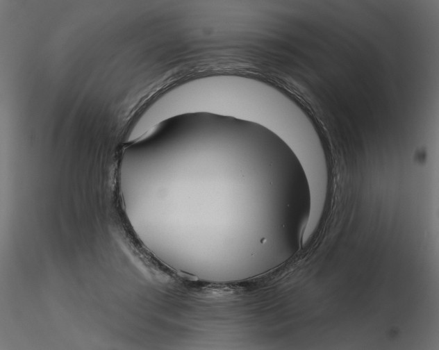 X0000116550405200912311916