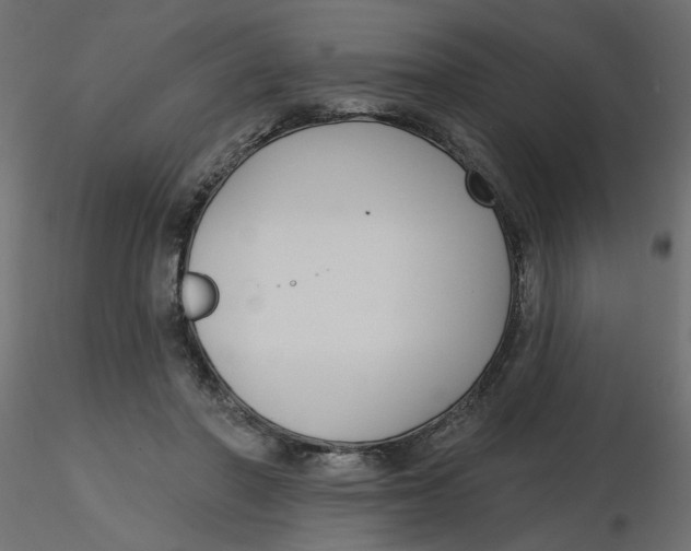 X0000116550406200912311916