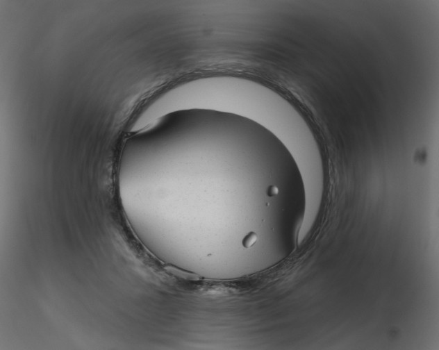 X0000116550407200912311916