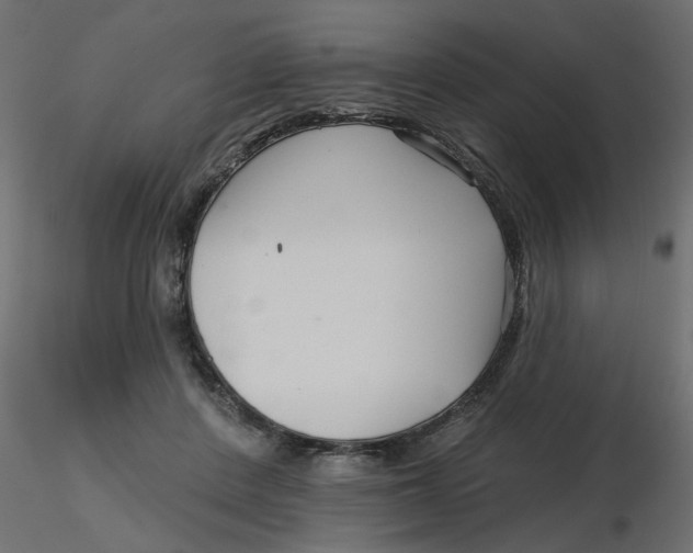 X0000116550408200912311916