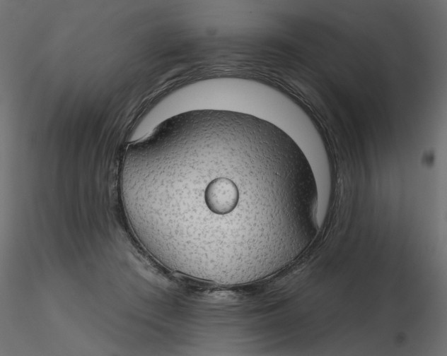 X0000116550409200912311916