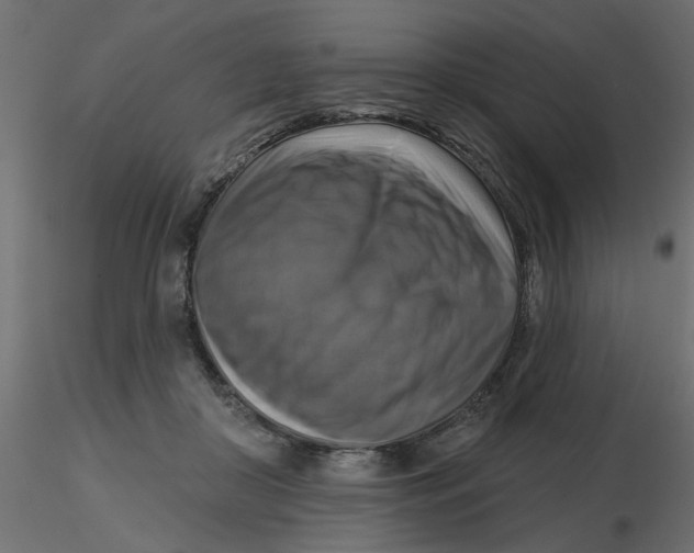 X0000116550410200912311916