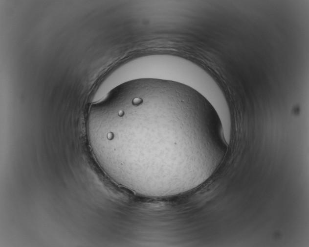 X0000116550411200912311916