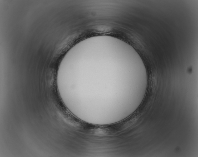 X0000116550412200912311916