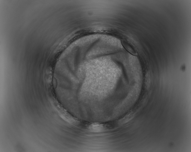 X0000116550413200912311916