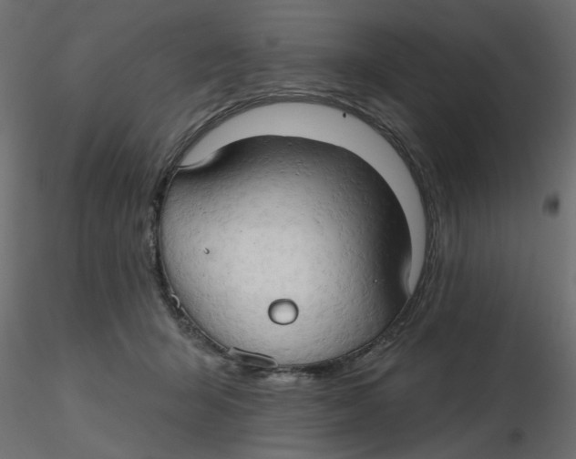 X0000116550415200912311916