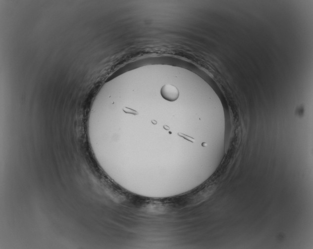 X0000116550416200912311916