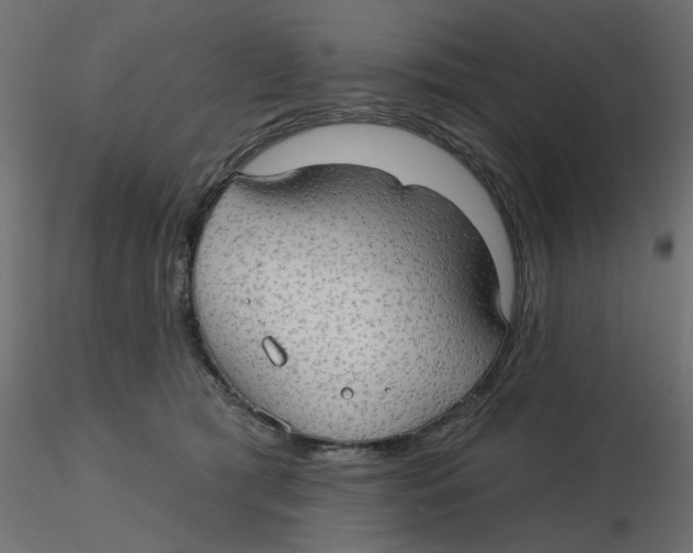 X0000116550417200912311915