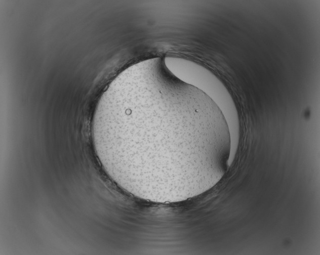 X0000116550419200912311915