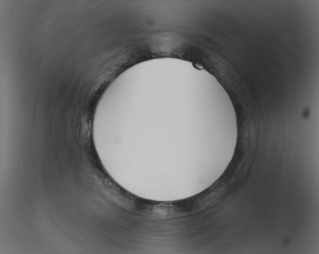 X0000116550420200912311915