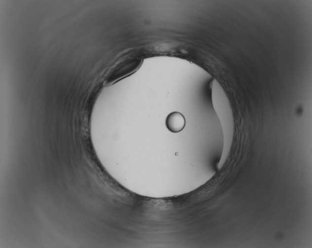 X0000116550421200912311915