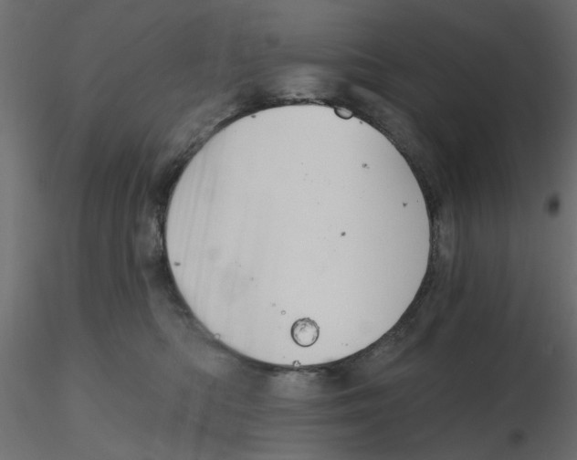 X0000116550422200912311915