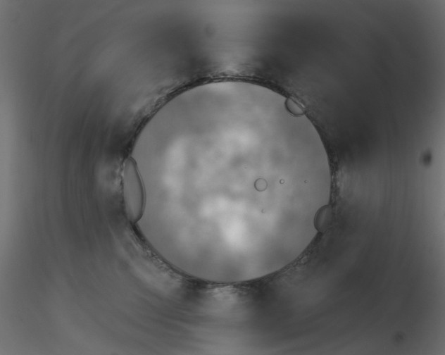 X0000116550423200912311915