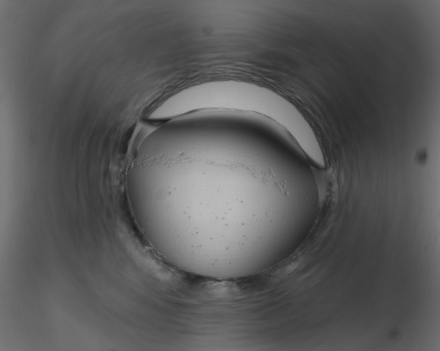 X0000116550424200912311915