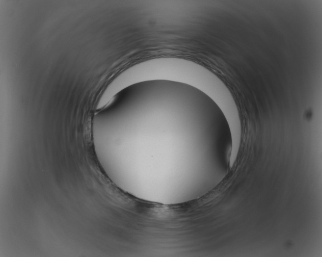 X0000116550425200912311915