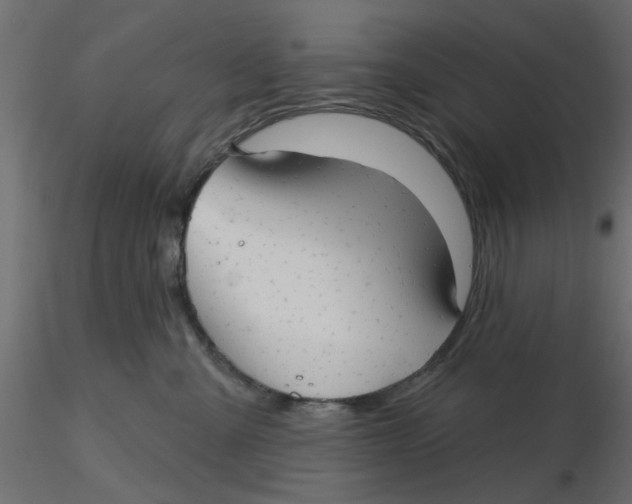 X0000116550427200912311915