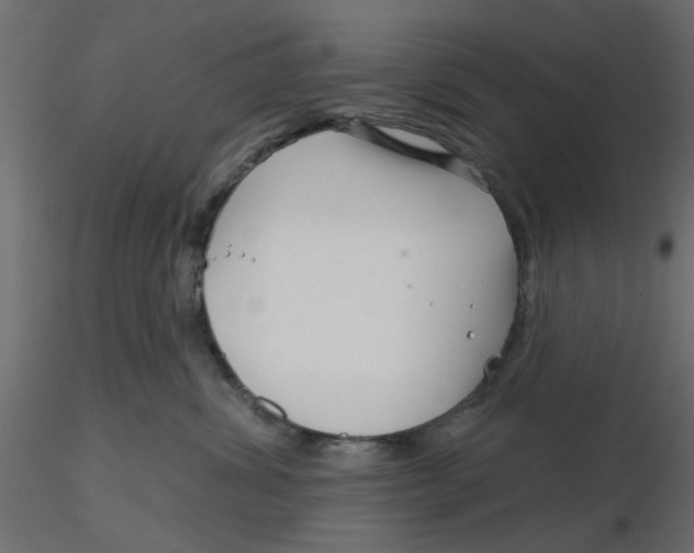 X0000116550428200912311915