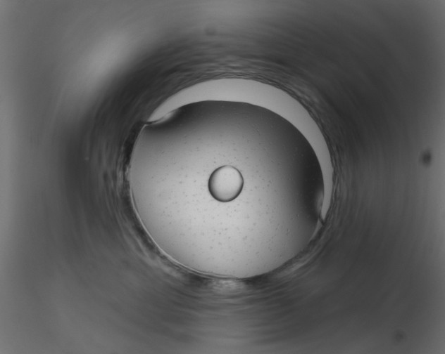 X0000116550429200912311915