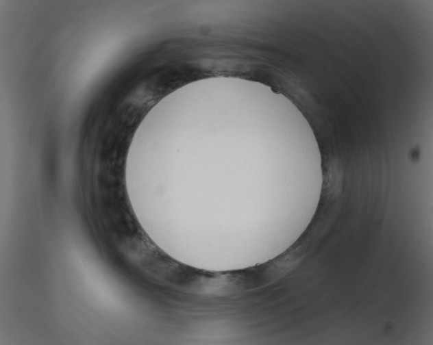 X0000116550430200912311915